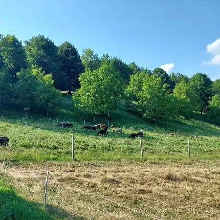 Waldesruh Casa vacanze Dietersdorf am Gnasbach